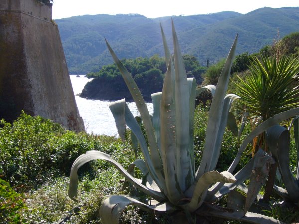 foto macchina fotografica 124.jpg